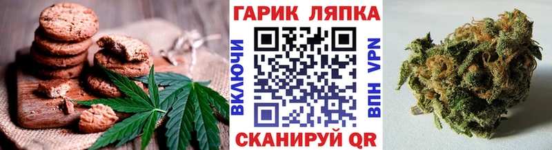 где найти   Ленинск-Кузнецкий  Еда ТГК конопля 