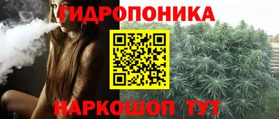ECSTASY Донской