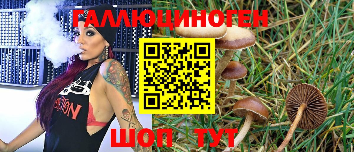 Псилоцибиновые грибы MAGIC MUSHROOMS Ленинск-Кузнецкий