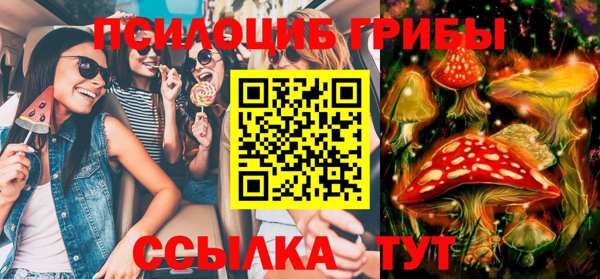 Галлюциногенные грибы Cubensis  Вход с VPN  Ленинск-Кузнецкий 